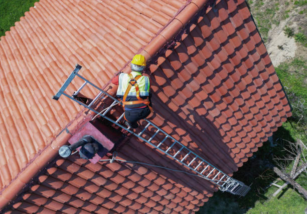 Best Roof Moss and Algae Removal  in Stow, OH